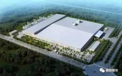 <b>从曾经存案的和昌喷鼻樟原著</b>